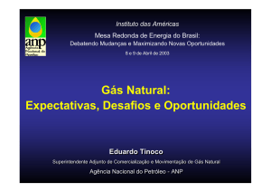 Gás Natural: Expectativas, Desafios e Oportunidades