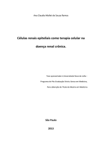 Células renais epiteliais como terapia celular na doença