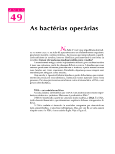 49. As bactérias operárias