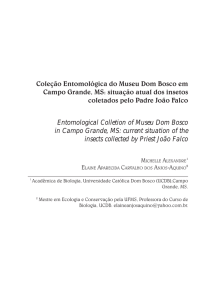 Coleção Entomológica do Museu Dom Bosco em Campo Grande