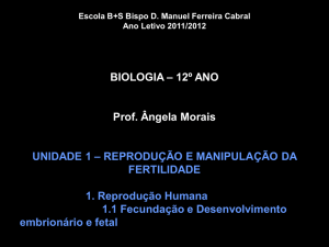 Diapositivo 1 - Escola B+S Bispo D. Manuel Ferreira Cabral