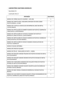 laborat&oacute;rio anatomia modelos i