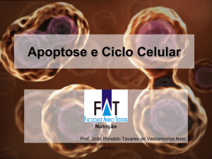 Apoptose e Ciclo Celular