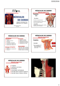 Músculos do Dorso - Aula de Anatomia