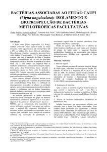 BACTÉRIAS ASSOCIADAS AO FEIJÃO CAUPI (Vigna unguiculata