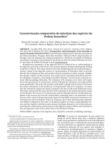 Caracterização comparativa do intestino das espécies da Ordem