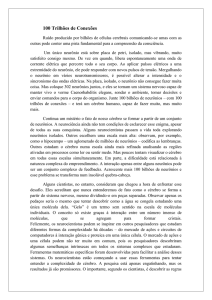 100 Trilh&otilde;es de Conex&otilde;es