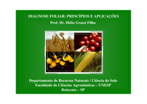 Diagnose foliar: princípios e aplicações