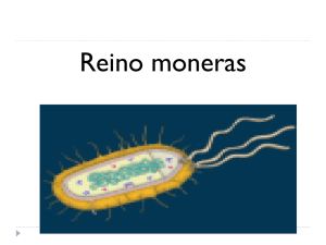Bactérias - Colégio Santa Rosa