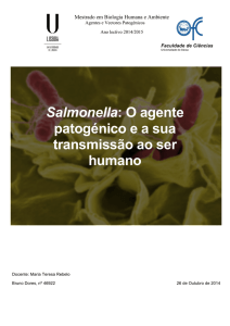 Salmonella: O agente patogénico e a sua