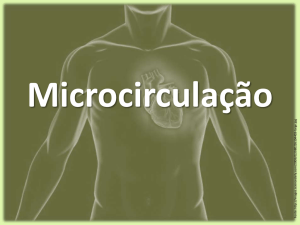 Microcirculação