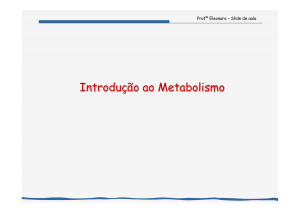 Metabolismo