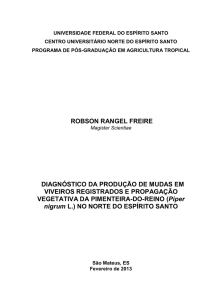 Robson Rangel Freire