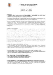 gripe aviária - Câmara Municipal de Óbidos