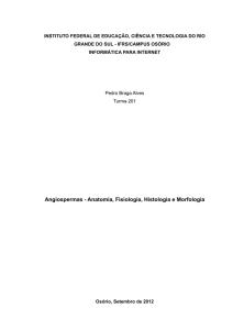 Angiospermas - Anatomia, Fisiologia, Histologia e
