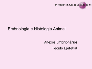 Embriologia e Histologia Animal
