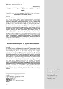 Medidas antropométricas e eficiência na colheita