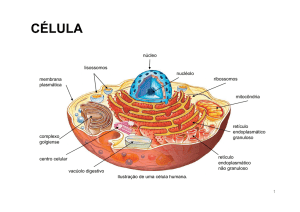 Parte da célula