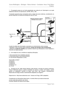 Curso Wellington – Biologia – Reino Animal – Cordados- Aves