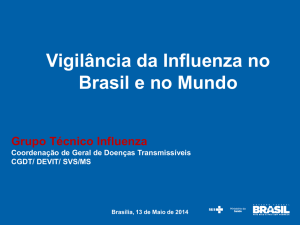 Vigilância da Influenza no Brasil e no Mundo