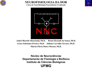 neurofisiologia da dor - Núcleo de Neurociências