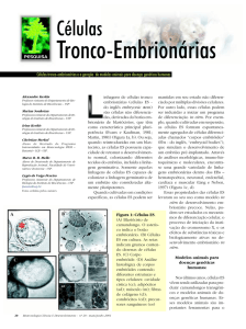 Tronco-Embrionárias