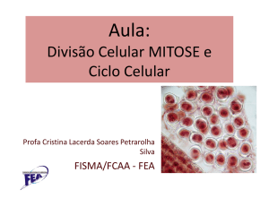 Divisão Celular MITOSE e Ciclo Celular