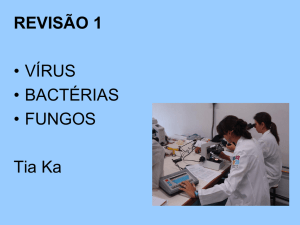 REVISÃO 1 • VÍRUS • BACTÉRIAS • FUNGOS Tia Ka