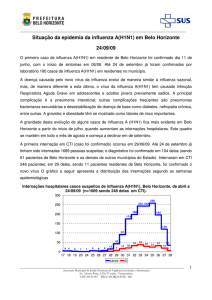 Situação da epidemia da influenza A(H1N1) em Belo Horizonte 24