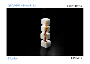 QBQ 0204 – Bioquímica Carlos Hotta Glicólise 13