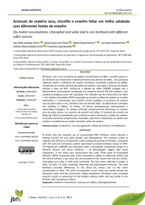 Acúmulo de matéria seca, clorofila e enxofre foliar em milho