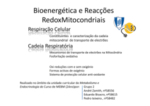 Bioenergética e reacçSes redox mitocondriais/BRRM