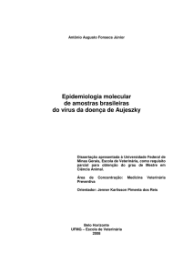 Epidemiologia molecular de amostras brasileiras do vírus da