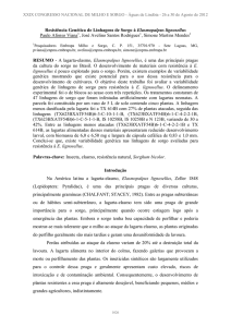 Resistência Genética de Linhagens de Sorgo à Elasmopalpus