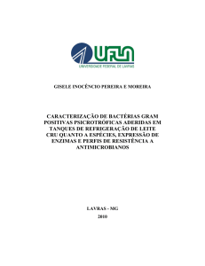 TESE_Caracterização de bactérias Gram positivas