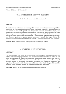 uma síntese sobre aspectos dos solos a synthesis of aspects of soil