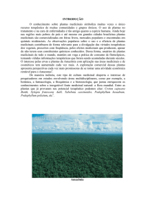 Plantas Medicinais da Amazônia