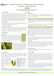 Agrimonia eupatoria - Biblioteca Digital do IPB