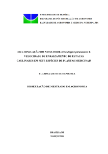 MULTIPLICAÇÃO DO NEMATOIDE Meloidogyne paranaensis E