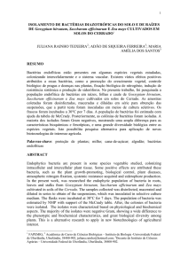 ISOLAMENTO DE BACTÉRIAS DIAZOTRÓFICAS DO SOLO E DE