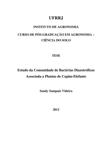 Estudo da Comunidade de Bactérias Diazotróficas