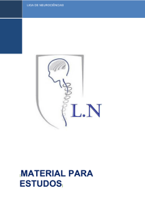 material para estudos - Bem