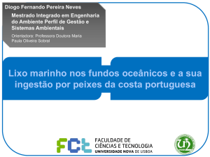 Lixo marinho nos fundos oceânicos e a sua - DCEA-FCT-UNL