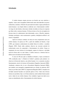 Introdu&ccedil;&atilde;o - Maxwell - PUC-Rio