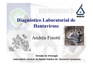 Diagnóstico Laboratorial de Hantavirose Andréa Finotti