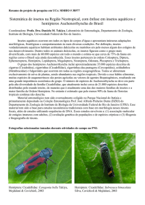 Sistemática de insetos na Região Neotropical, com ênfase