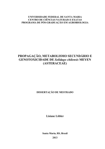 PROPAGAÇÃO, METABOLISMO SECUNDÁRIO E