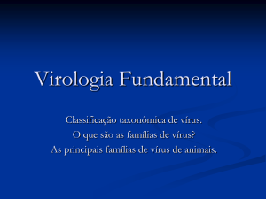 - Página Virologia Animal