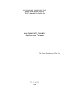 AQUECIMENTO GLOBAL Seqüestro de Carbono