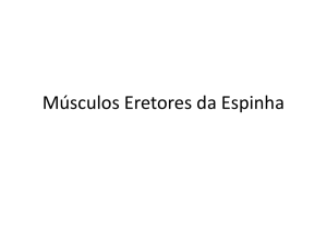 Músculos Eretores da Espinha